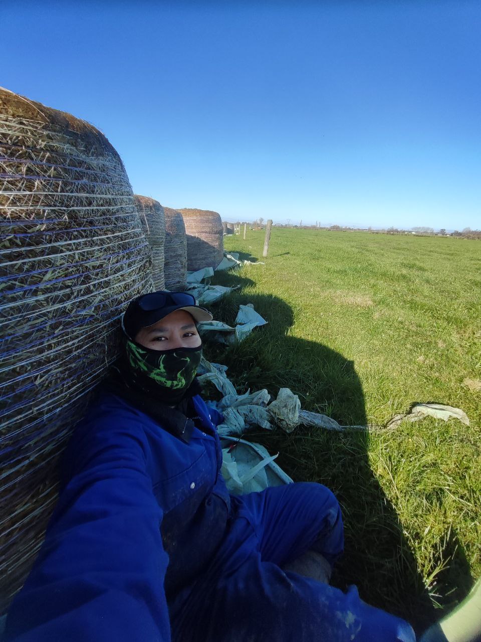 Farm life photo 2